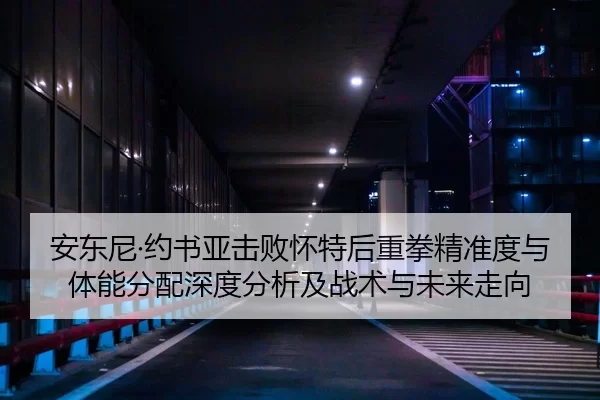 安东尼·约书亚击败怀特后重拳精准度与体能分配深度分析及战术与未来走向