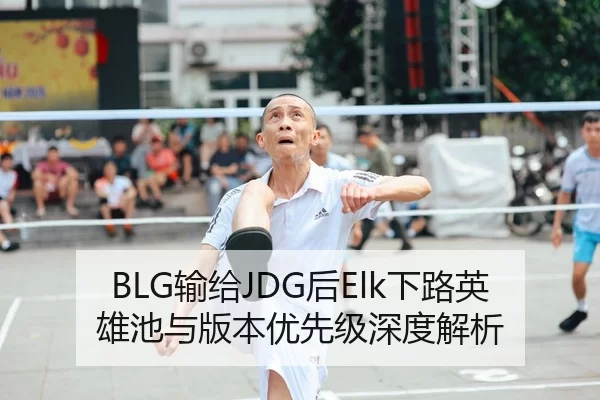 BLG输给JDG后Elk下路英雄池与版本优先级深度解析